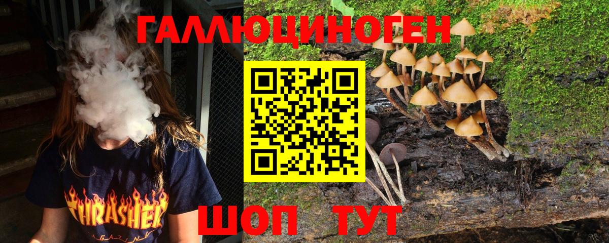 Псилоцибиновые грибы Magic Shrooms  Вход с VPN  Псилоцибиновые грибы Psilocybine cubensis  купить закладку  Большой Камень 